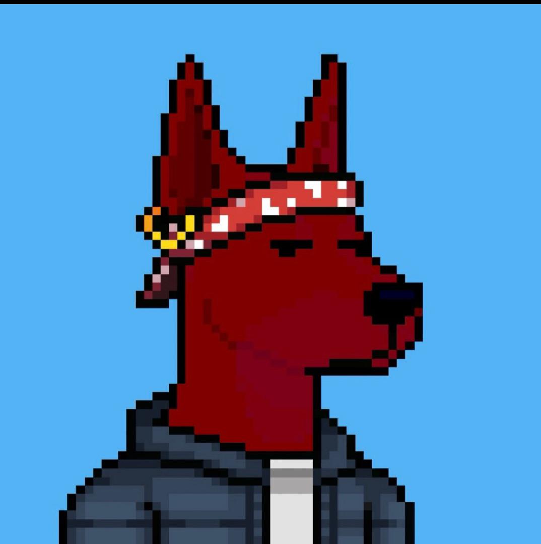 WOOFHYPE NFT ecosystem engagement